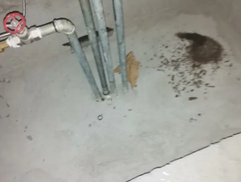 海勃湾卫生间测漏水价格明细